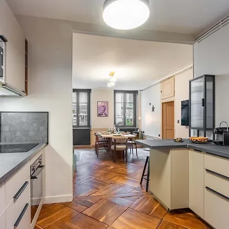 Apartamento Le Carrousel De Leopold - Proche Place Carnot *