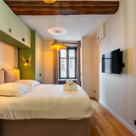 Apartamento Le Carrousel De Leopold - Proche Place Carnot Nancy